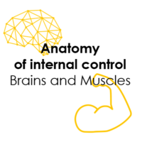 Anatomy of Internal Control